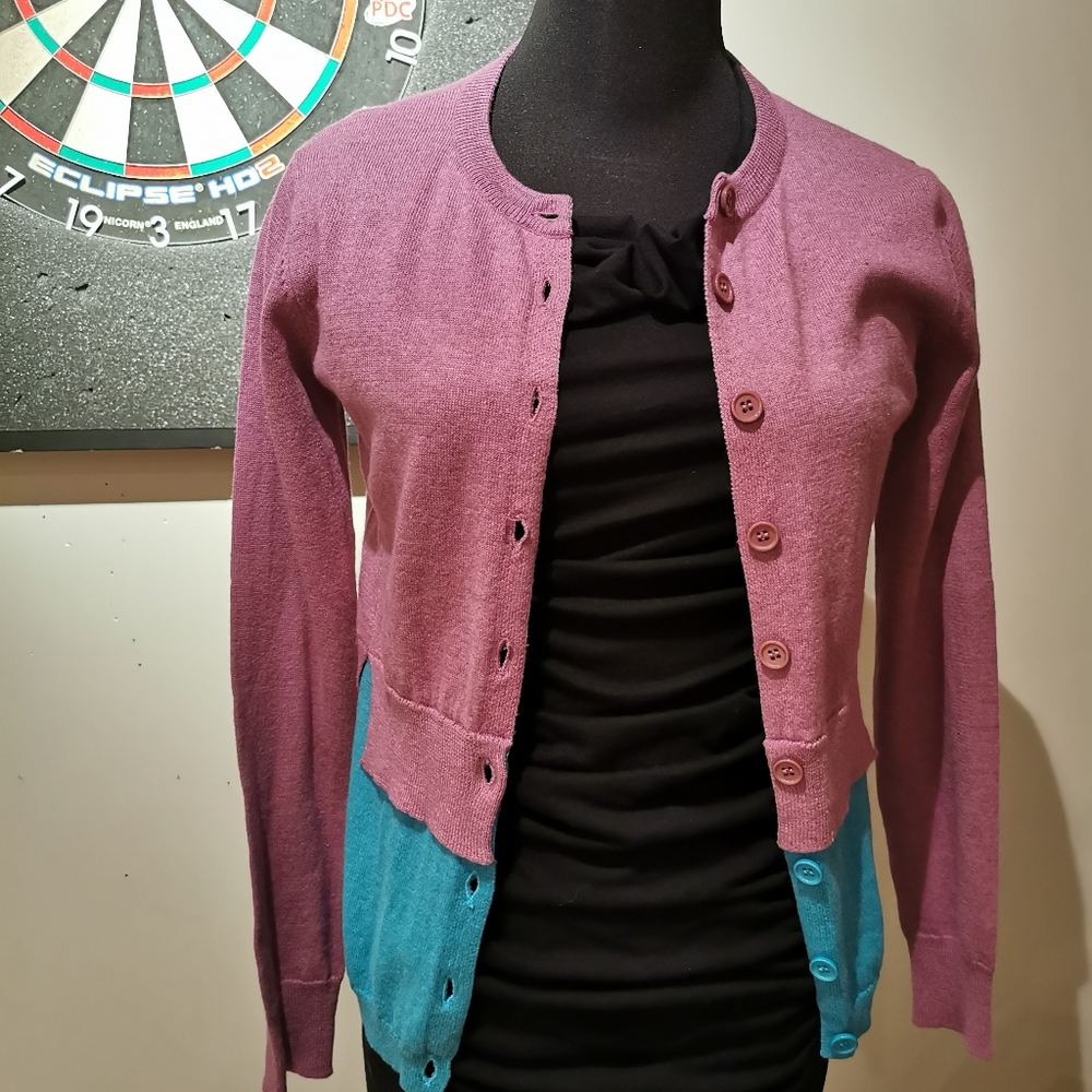 2/15 NWOT  Wool Colorblock Tippi Cardigan